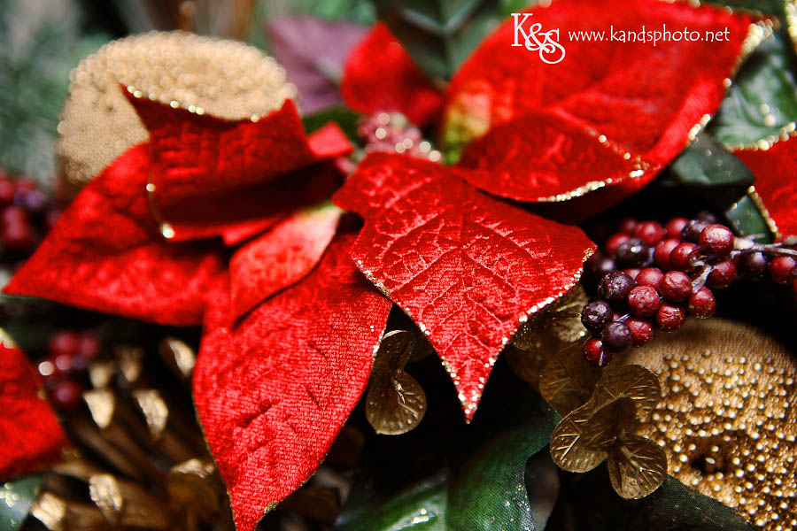 Deck the Halls | Dallas Wedding Photographers Deck the Halls | Dallas Wedding Photographers